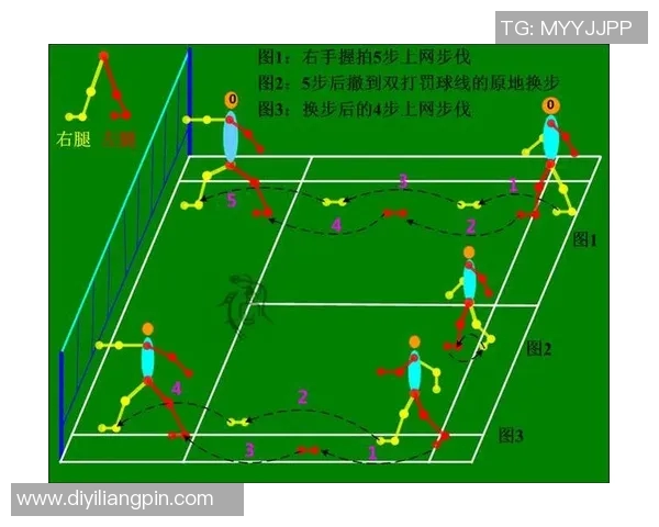 羽毛球新手必看：从基础技术到实战技巧的全面入门指南