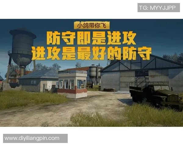 和平精英V5赛季区域防守策略分析与成效评估探讨