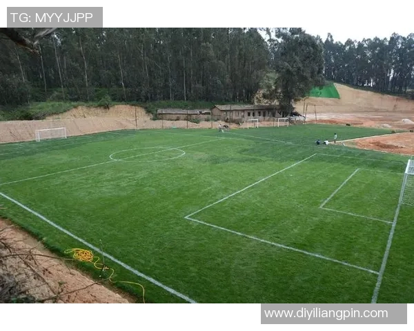 南京足球村的崛起与发展探索打造中国足球新高地的路径分析